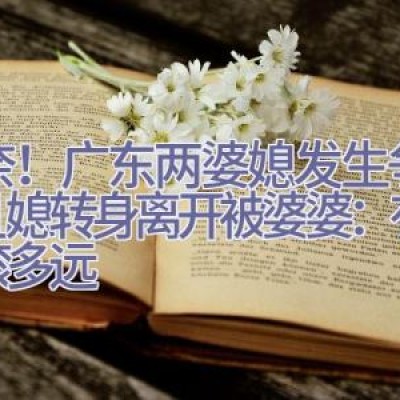 无奈！广东两婆媳发生争吵，儿媳转身离开被婆婆：有多远滚多远