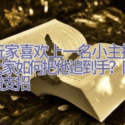 女玩家喜欢上一名小主播，问大家如何把他追到手？网友纷纷支招